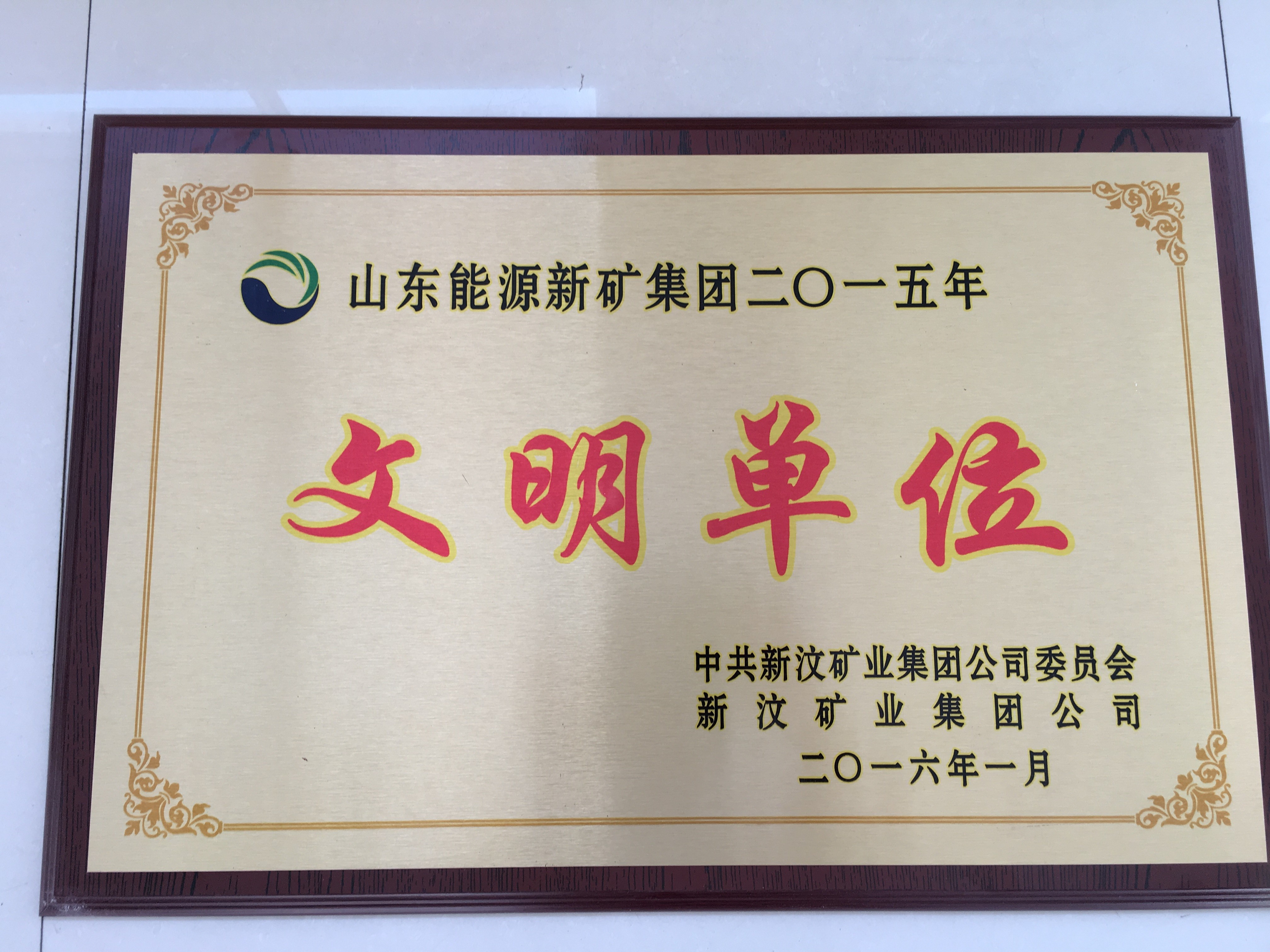 山東能源新礦集團2015年度先進單位.JPG